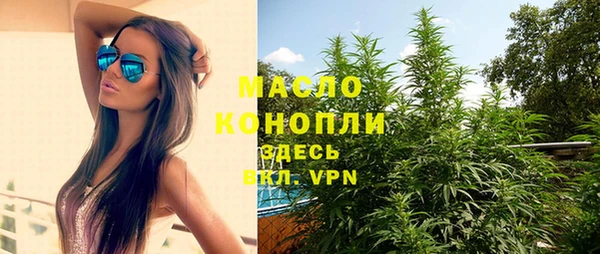 стаф Гусь-Хрустальный