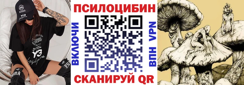 Псилоцибиновые грибы мухоморы Кулебаки