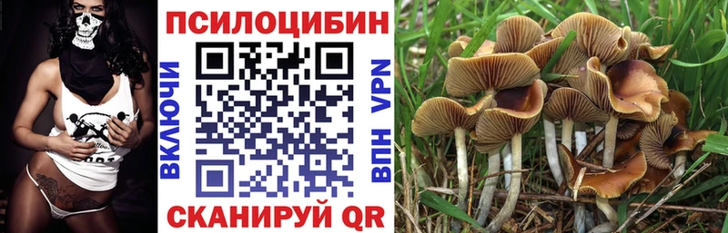 Галлюциногенные грибы MAGIC MUSHROOMS  Купить где  Кулебаки 