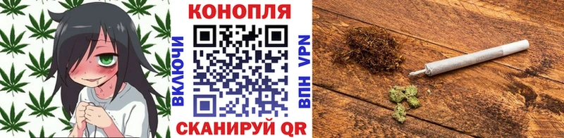 Бошки марихуана конопля  Купить где  Кулебаки 